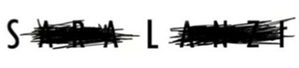 Sara Lanzi Logo